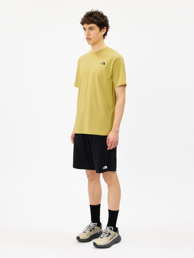 THE NORTH FACE(ザ・ノース・フェイス) ｜ショートスリーブジオダイアグラムティー（メンズ）