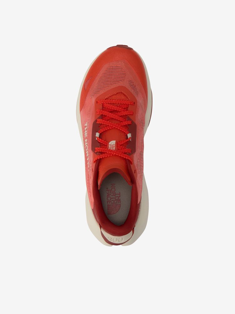 THE NORTH FACE(ザ・ノース・フェイス) ｜アルタメサ 300 V2（メンズ）