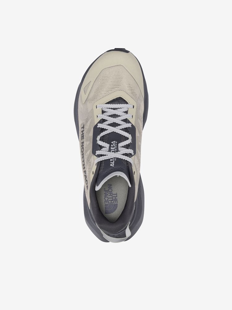 THE NORTH FACE(ザ・ノース・フェイス) ｜アルタメサ 300 V2（メンズ）