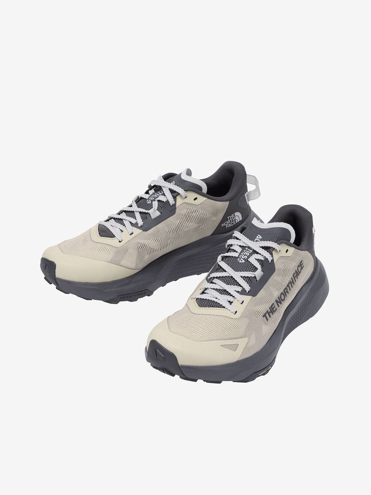 THE NORTH FACE(ザ・ノース・フェイス) ｜アルタメサ 300 V2（メンズ）