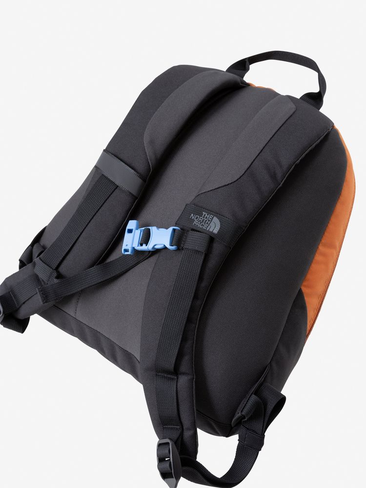 THE NORTH FACE(ザ・ノース・フェイス) ｜キンカジュー（キッズ）