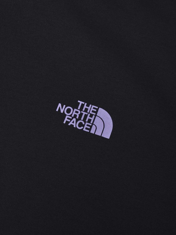THE NORTH FACE(ザ・ノース・フェイス) ｜ロングスリーブ ES 66グラフィックティー（メンズ）