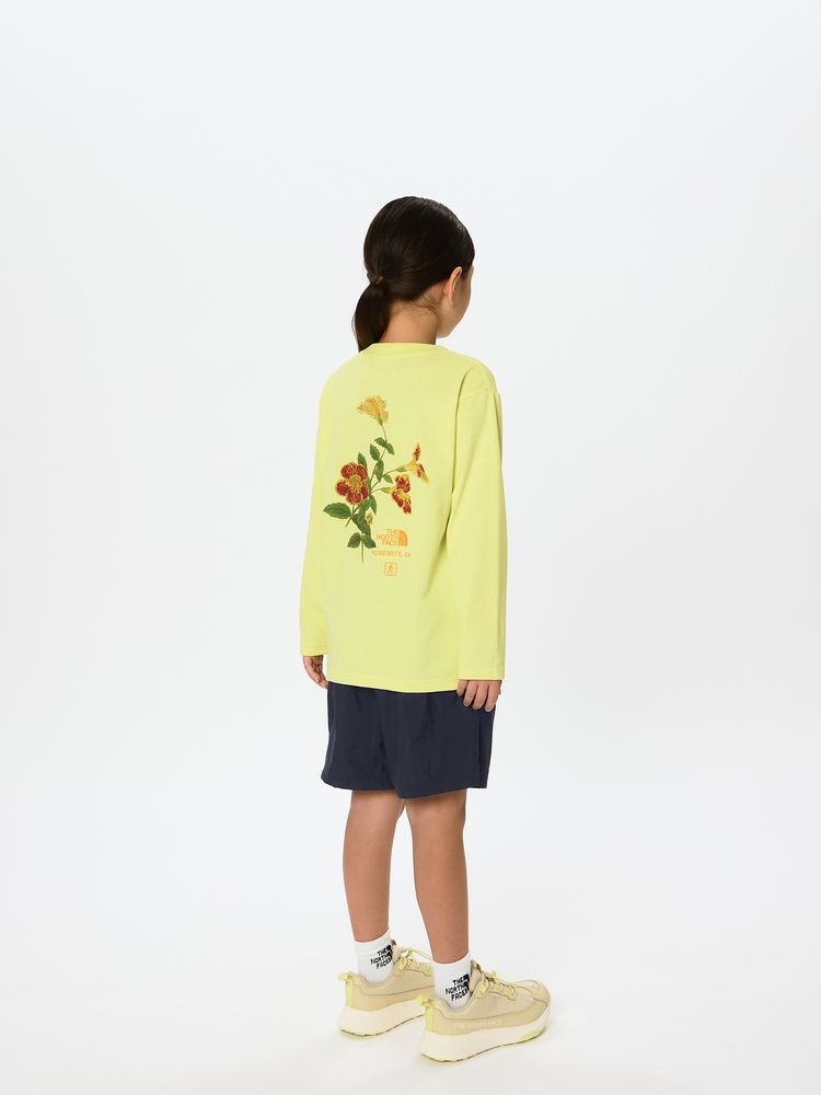 公式】ロングスリーブフィールドグラフィックティー（キッズ）｜ザ