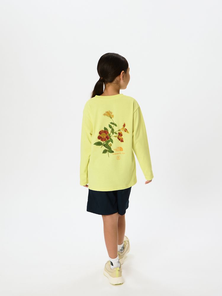 公式】ロングスリーブフィールドグラフィックティー（キッズ）｜ザ