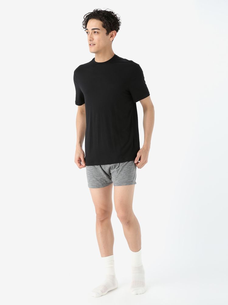 icebreaker(アイスブレーカー) ｜メリノ 150 テックライトIII ショートスリーブ ティー（メンズ）