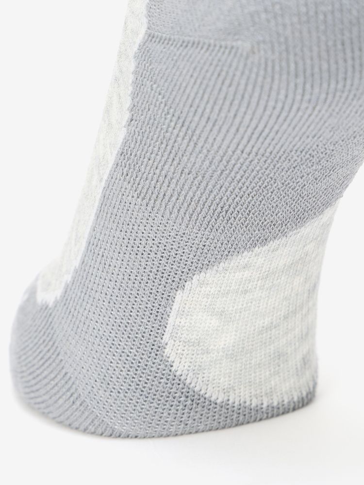 icebreaker(アイスブレーカー) ｜メリノ ハイク+ ライト クルー（レディース）