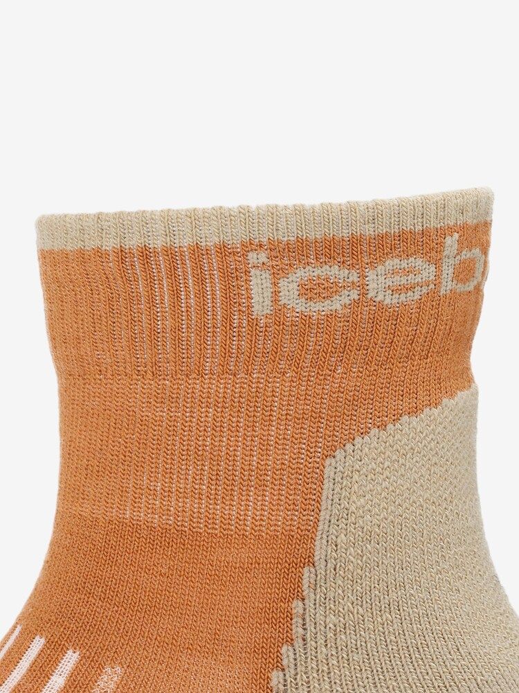 icebreaker(アイスブレーカー) ｜メリノ ハイク+ ライト ミニ（メンズ）