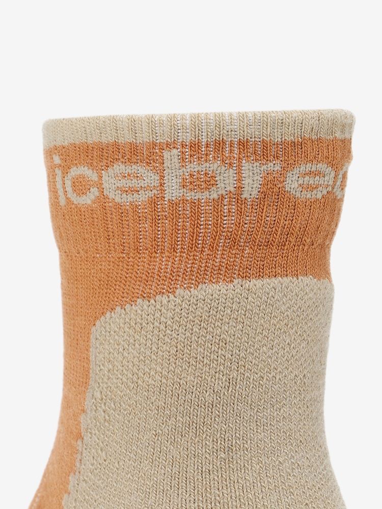 icebreaker(アイスブレーカー) ｜メリノ ハイク+ ライト ミニ（メンズ）