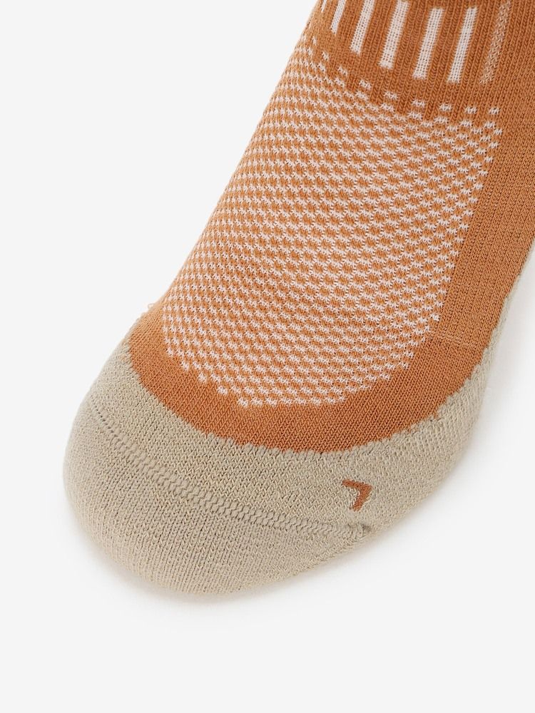 icebreaker(アイスブレーカー) ｜メリノ ハイク+ ライト ミニ（メンズ）