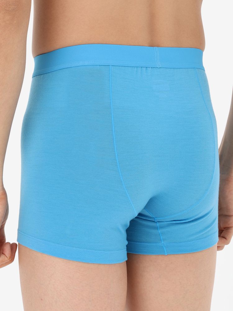 icebreaker(アイスブレーカー) ｜メリノブレンド 125 クールライト アナトミカ ボクサー（メンズ）