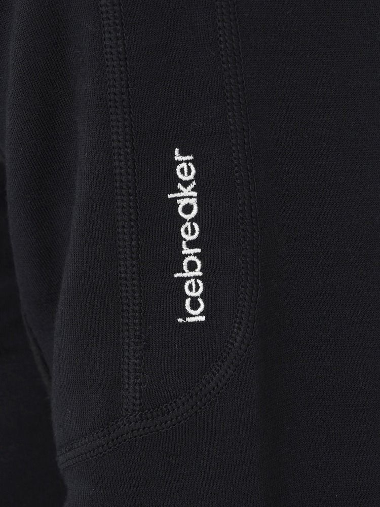 icebreaker(アイスブレーカー) ｜メリノB 300 リアルフリース ディセンダー LS ジップ（メンズ）