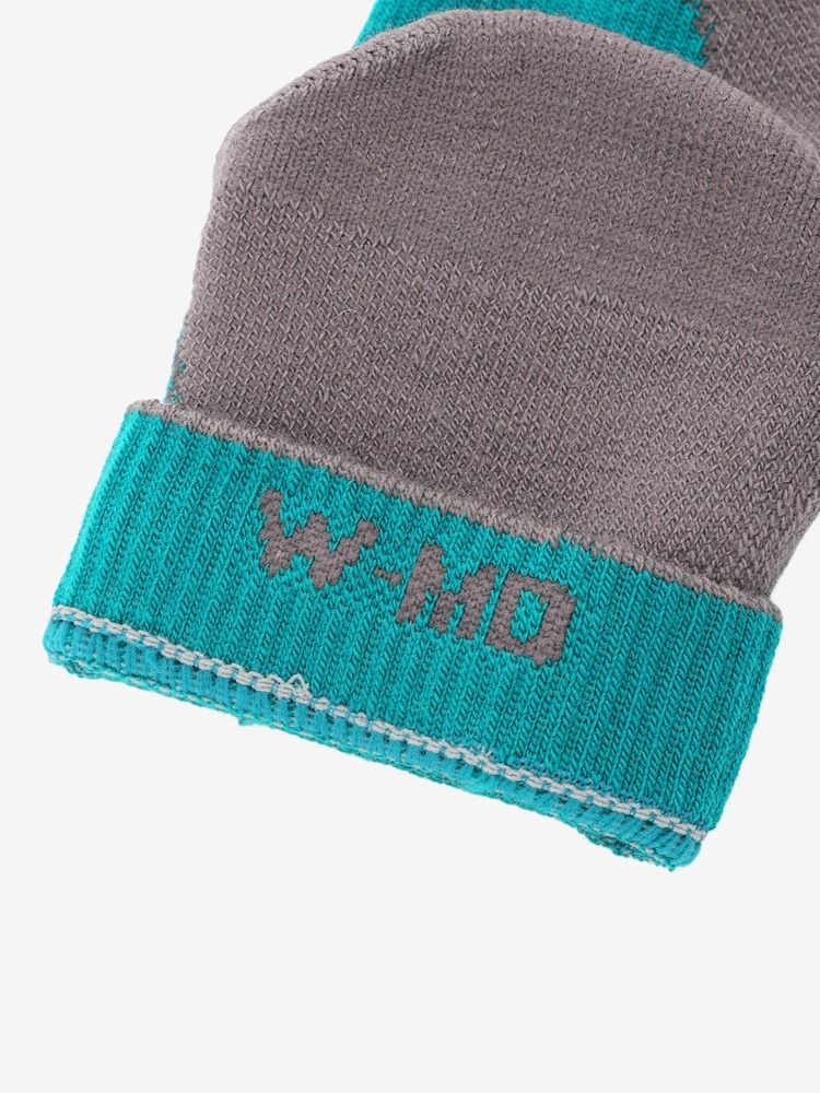 icebreaker(アイスブレーカー) ｜メリノ ハイク+ ライト ミニ（レディース）