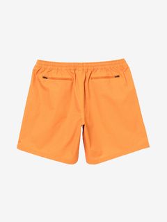 新品未使用　SPEEDO BEAMSコラボ　ショーツ　Sサイズ 03_056-240.jpg