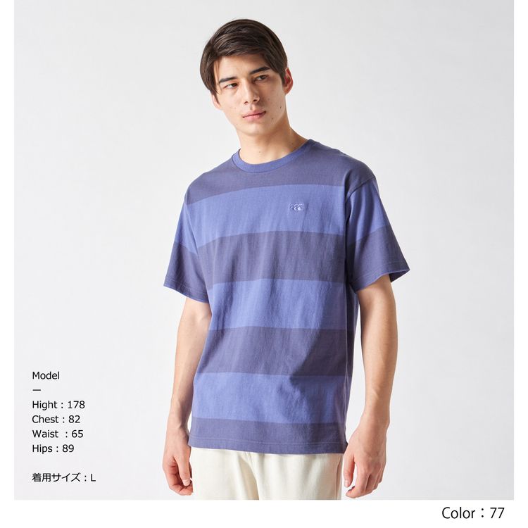 数量は多 カンタベリー 半袖 Tシャツ 限定モデル メンズ canterbury