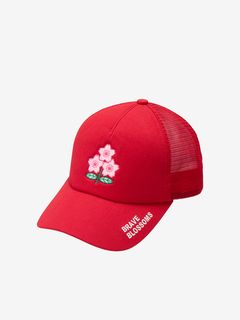 ★送料無料★UK直輸入★カンタベリー★ライオンズ 2025 キャップ★赤Dx白★ Amazon | [カンタベリー] British ＆ Irish Lions 2025 TRAINING