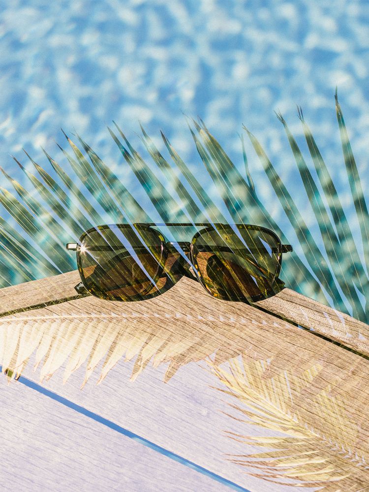 公式】エステロ トータスアンバー（サングラス）｜サンスキー公式ストア