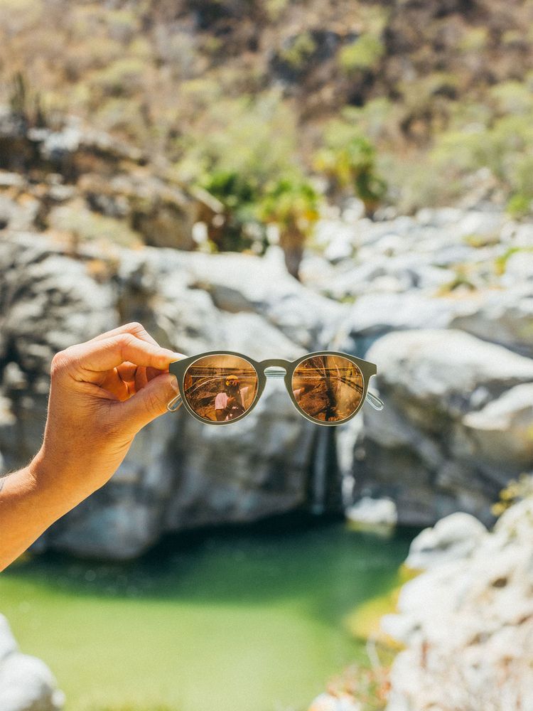 SUNSKI (サンスキー) ｜ディプシー オリーブグラスブロンズ（サングラス）