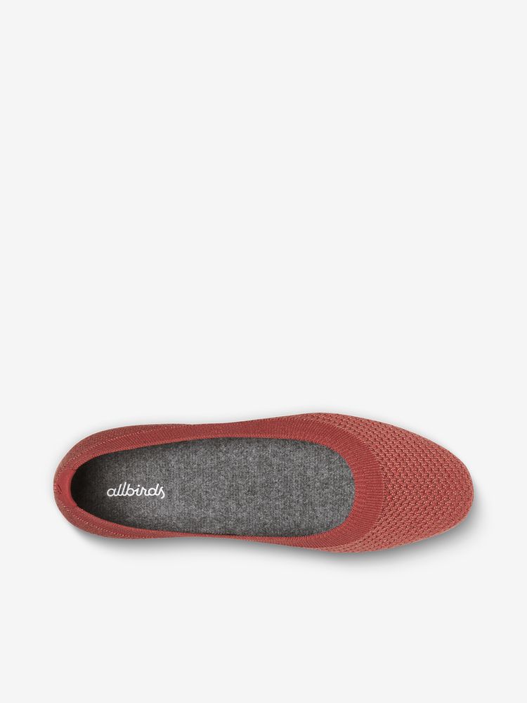 Allbirds(オールバーズ) ｜ツリーブリーザー（レディース）